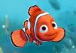 nemo.jpg